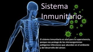 Sistema
Inmunitario
El sistema inmunitario es vital para la supervivencia,
porque nos protege de los microorganismos
patógenos infecciosos que abundan en el ambiente
y del desarrollo del cáncer.
 