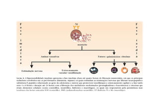 Hipersensibilidade imediata