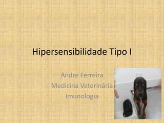 Hipersensibilidade Tipo I

      Andre Ferreira
    Medicina Veterinária
       Imunologia
 