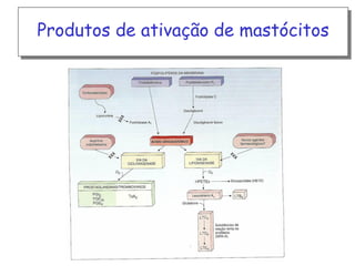 Produtos de ativação de mastócitos

 