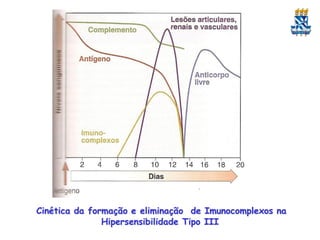 Cinética da formação e eliminação de Imunocomplexos na
Hipersensibilidade Tipo III

 