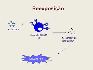 Reexposição + ALÉRGENO MASTÓCITO COM IgE MEDIADORES LIBERADOS INFLAMAÇÃO 