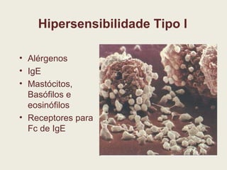 Hipersensibilidade Tipo I Alérgenos IgE Mastócitos, Basófilos e eosinófilos Receptores para Fc de IgE 