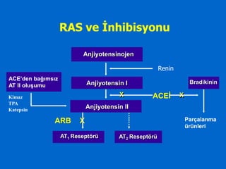 RAS ve Ġnhibisyonu

                          Anjiyotensinojen

                                               Renin    Renin
ACE’den bağımsız
                             Anjiyotensin I                          Bradikinin
AT II oluşumu

Kimaz                                   X              ACEİ     X
TPA
Katepsin
                             Anjiyotensin II
                                                                Parçalanma ürünleri
                                                                  Parçalanma
              ARB        X
                                                                    ürünleri
                   AT1 Reseptörü        AT2 Reseptörü
 