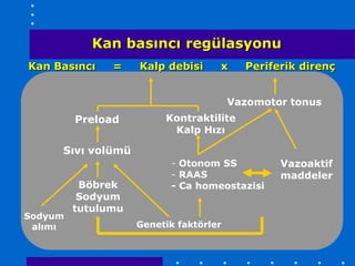Kan basıncı regülasyonu
Kan Basıncı    =    Kalp debisi     x     Periferik direnç


                                        Vazomotor tonus
         Preload         Kontraktilite
                          Kalp Hızı

     Sıvı volümü
                          - Otonom SS           Vazoaktif
                          - RAAS                maddeler
          Böbrek          - Ca homeostazisi
          Sodyum
         tutulumu
Sodyum
 alımı              Genetik faktörler
 