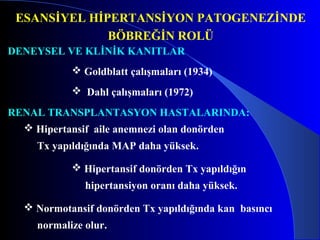 Araştırmacı Bilgi Sistemi