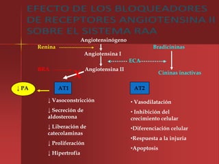 Angiotensinógeno
       Renina                                          Bradicininas
                           Angiotensina I
                                              ECA
       BRA                  Angiotensina II
                      X                                    Cininas inactivas

↓ PA            AT1                            AT2

          ↓ Vasoconstricción                  • Vasodilatación
          ↓ Secreción de                      • Inhibición del
          aldosterona                         crecimiento celular
          ↓ Liberación de                     •Diferenciación celular
          catecolaminas
                                              •Respuesta a la injuria
          ↓ Proliferación
                                              •Apoptosis
          ↓ Hipertrofia
 