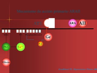 Mecanismo de acción primario ARAII


                         AT1                           ARA       AII

 DAG      PI3   Phosphatidilinositol
                                       Ge
                               PLC
PKC      Ca++




Efecto

                                            Goodfriend TL. Hypertension Primer. 2003
 