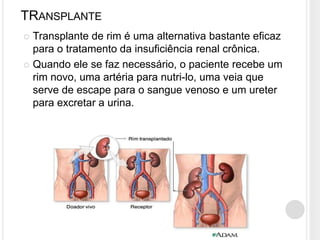 TRANSPLANTE
 Transplante de rim é uma alternativa bastante eficaz
  para o tratamento da insuficiência renal crônica.
 Quando ele se faz necessário, o paciente recebe um
  rim novo, uma artéria para nutri-lo, uma veia que
  serve de escape para o sangue venoso e um ureter
  para excretar a urina.
 