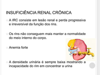 INSUFICIÊNCIA RENAL CRÔNICA
   A IRC consiste em lesão renal e perda progressiva
    e irreversível da função dos rins.

   Os rins não conseguem mais manter a normalidade
    do meio interno do corpo.

   Anemia forte



   A densidade urinária é sempre baixa mostrando a
    incapacidade do rim em concentrar a urina
 