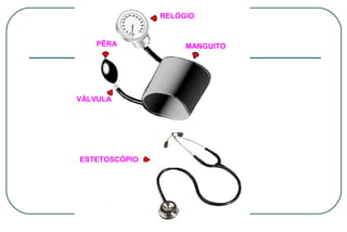 RELÓGIO

PÊRA

VÁLVULA

ESTETOSCÓPIO

MANGUITO

 