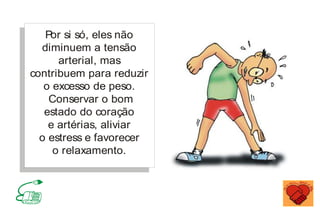 Por si só, eles não
diminuem a tensão
arterial, mas
contribuem para reduzir
o excesso de peso.
Conservar o bom
estado do coração
e artérias, aliviar
o estress e favorecer
o relaxamento.
MINISTÉRIO DA SAÚDE
Coordenação de Doenças Crônico-Degenerativas
 