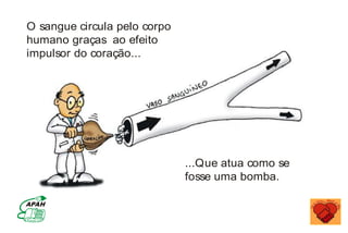 O sangue circula pelo corpo
humano graças ao efeito
impulsor do coração...
...Que atua como se
fosse uma bomba.
MINISTÉRIO DA SAÚDE
Coordenação de Doenças Crônico-Degenerativas
 