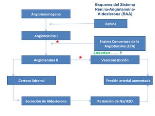 Angiotensinógeno Angiotensina I Angiotensina II Vasoconstricción Renina Enzima Conversora de la  Angiotensina (ECA) Corteza Adrenal Presión arterial aumentada Secreción de Aldosterona Retención de Na/H2O Losartan …… !! * * Esquema del Sistema Renina-Angiotensina-Aldosterona (RAA) 