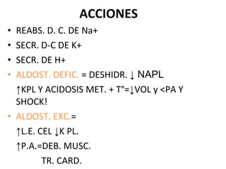 ACCIONES REABS. D. C. DE Na+ SECR. D-C DE K+ SECR. DE H+ ALDOST. DEFIC.  = DESHIDR.  ↓ NAPL ↑ KPL Y ACIDOSIS MET. + T°= ↓ VOL y <PA Y SHOCK! ALDOST. EXC. = ↑ L.E. CEL  ↓ K PL. ↑ P.A.=DEB. MUSC.   TR. CARD.   PARALISIS ! 