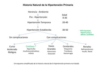 Herencia - Ambiente Pre - Hipertensión Hipertensión Temprana Hipertensión Establecida Sin complicaciones Con complicaciones Edad  0-30 20-40 30-50 Curso Acelerado Maligno Cardiaca * Hipertrofia InsuficienciaCardiaca Infarto Vasos  Grandes Aneurisma Disección Cerebrales Hisquemia Trombosis Hemorragia Renales Nefroesclerosis Insufic. Renal Un esquema simplificado de la historia natural de la hipertensión primaria no tratada Historia Natural de la Hipertensión Primaria *HTA Asintom. Hipertr prop a alterac carotidea 