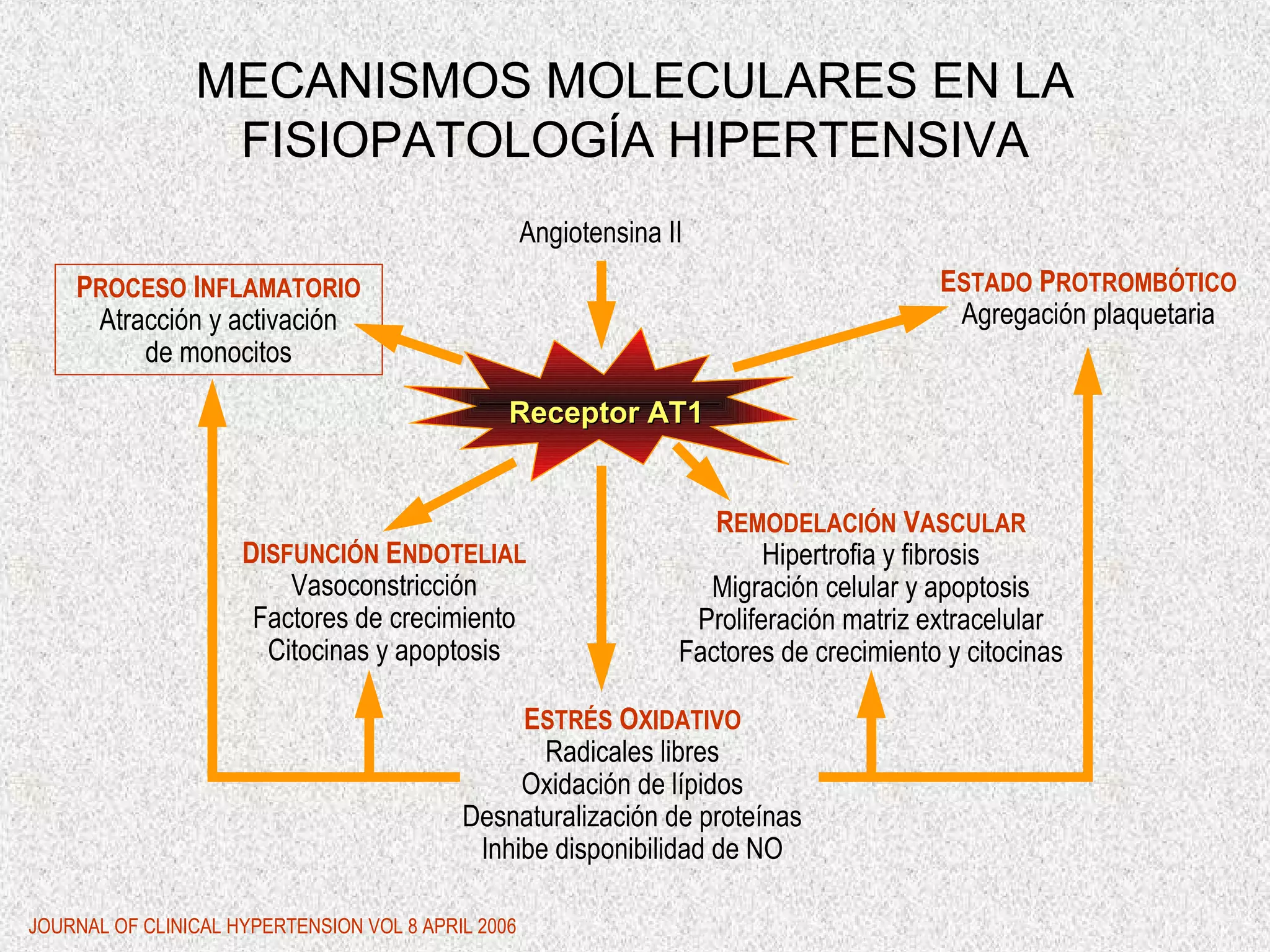 Hipertensión arterial | PPT