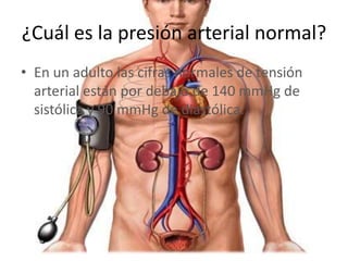 ¿Cuál es la presión arterial normal?
• En un adulto las cifras normales de tensión
arterial están por debajo de 140 mmHg de
sistólica y 90 mmHg de diastólica.
 