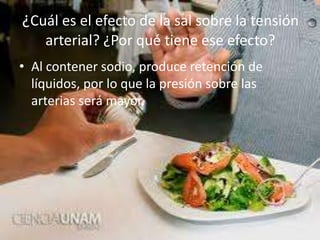¿Cuál es el efecto de la sal sobre la tensión
arterial? ¿Por qué tiene ese efecto?
• Al contener sodio, produce retención de
líquidos, por lo que la presión sobre las
arterias será mayor.
 