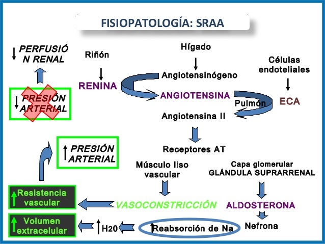 Hipertensión arterial