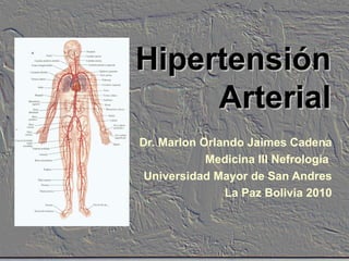 Hipertensión
     Arterial
Dr. Marlon Orlando Jaimes Cadena
            Medicina III Nefrologia
 Universidad Mayor de San Andres
               La Paz Bolivia 2010
 