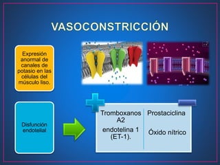 Expresión
anormal de
canales de
potasio en las
células del
músculo liso.
Disfunción
endotelial
Tromboxanos
A2
endotelina 1
(ET-1).
Prostaciclina
Óxido nítrico
 