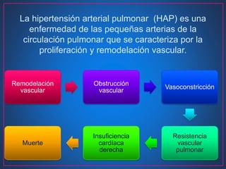 La hipertensión arterial pulmonar (HAP) es una
enfermedad de las pequeñas arterias de la
circulación pulmonar que se caracteriza por la
proliferación y remodelación vascular.
Remodelación
vascular
Obstrucción
vascular
Vasoconstricción
Resistencia
vascular
pulmonar
Insuficiencia
cardíaca
derecha
Muerte
 