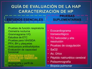 ESTUDIOS ESENCIALES
• Pruebas de función respiratoria
• Oximetría nocturna
• Grammagrama V/Q
• Estudios de ETC
• Pruebas para VIH/SIDA
• PFH, BH y plaquetas
• Anticuerpos antifosfolípidos
• Evaluación de capacidad
funcional
• Cateterismo cardíaco
derecho con registro de
presiones
• Angiografía y perfil de
termodilución
PRUEBAS
SUPLEMENTARIAS
• Ecocardiograma
transesofágico
• TC helicoidal y alta
resolución
• Pruebas de coagulación
• SaO2
• Ac. Úrico
• Péptido natriurético cerebral
• Polisomnografía
• Biopsia pulmonar
 