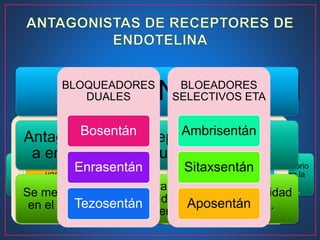 La endotelina-
1:
Vasoconstrict
or directo
Estimula la
proliferación de
células
musculares
lisas
vasculares
Mitógeno
Mediador
proinflamatorio
que realza la
adhesión
molecular.
ETA
Causa una
vasoconstricción
sostenida y proliferación
de células de músculo
liso vascular.
ETB
mediadores de la
depuración de
endotelina e inducen la
producción de óxido
nítrico y prostaciclina por
las células endoteliales.
Efectos mediados por los receptores de
endotelina:BOSENTÁN
Antagonista del receptor
a endotelina tipo dual.
Se metaboliza
en el hígado
Mejora la
sobre vida en
los pacientes.
Oral
Mejora calidad
de vida.
BLOQUEADORES
DUALES
Bosentán
Enrasentán
Tezosentán
BLOEADORES
SELECTIVOS ETA
Ambrisentán
Sitaxsentán
Aposentán
 