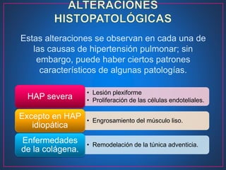 Estas alteraciones se observan en cada una de
las causas de hipertensión pulmonar; sin
embargo, puede haber ciertos patrones
característicos de algunas patologías.
• Lesión plexiforme
• Proliferación de las células endoteliales.HAP severa
• Engrosamiento del músculo liso.
Excepto en HAP
idiopática
• Remodelación de la túnica adventicia.
Enfermedades
de la colágena.
 