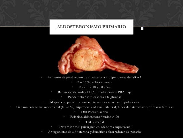 Una palabra: hipertensión arterial maligna