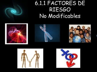 6.1.1 FACTORES DE 
RIESGO 
No Modificables 
 