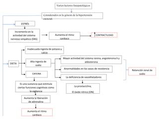 Retención renal de 
sodio 
CONTRACTILIDAD 
Varios factores fisiopatológicos 
Mayor actividad del sistema renina, angiotensina II y 
aldosterona 
Anormalidades en los vasos de resistencia 
La deficiencia de vasodilatadores 
La prostaciclina, 
El óxido nítrico (ON) 
ESTRÉS 
Inadecuada ingesta de potasio y 
calcio 
Alta ingesta de 
sodio 
CAFEINA 
Es una sustancia que estimula 
ciertas funciones cognitivas como 
la vigilancia 
Aumenta la liberación 
de adrenalina 
Aumenta el ritmo 
cardiaco 
DIETA 
Considerados en la génesis de la hipertensión 
esencial: 
Incremento en la 
actividad del sistema 
nervioso simpático (SNS) 
Aumenta el ritmo 
cardiaco 
 