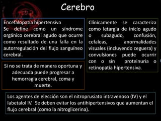 Cerebro 
Encefalopatía hipertensiva 
Se define como un síndrome 
orgánico cerebral agudo que ocurre 
como resultado de una falla en la 
autorregulación del flujo sanguíneo 
cerebral. 
Clínicamente se caracteriza 
como letargia de inicio agudo 
o subagudo, confusión, 
cefaleas, anormalidades 
visuales (incluyendo ceguera) y 
convulsiones puede ocurrir 
con o sin proteinuria o 
retinopatía hipertensiva. Si no se trata de manera oportuna y 
adecuada puede progresar a 
hemorragia cerebral, coma y 
muerte. 
Los agentes de elección son el nitroprusiato intravenoso (IV) y el 
labetalol IV. Se deben evitar los antihipertensivos que aumentan el 
flujo cerebral (como la nitroglicerina). 
 