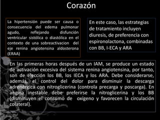 Corazón 
La hipertensión puede ser causa o 
consecuencia del edema pulmonar 
agudo, reflejando disfunción 
ventricular sistólica o diastólica en el 
contexto de una sobreactivacion del 
eje renina angiotensina aldosterona 
(ERAA) 
En este caso, las estrategias 
de tratamiento incluyen 
diuresis, de preferencia con 
espironolactona, combinadas 
con BB, I-ECA y ARA. 
En las primeras horas después de un IAM, se produce un estado 
de activación excesiva del sistema renina angiotensina, por tanto, 
son de elección los BB, los IECA y los ARA. Debe considerarse, 
además, el control del dolor para disminuir la descarga 
adrenérgica con nitroglicerina (controla precarga y poscarga). En 
angina inestable debe preferirse la nitroglicerina y los BB 
(disminuyen el consumo de oxígeno y favorecen la circulación 
colateral). 
 