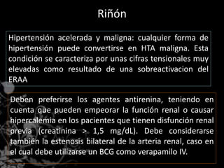 Riñón 
Hipertensión acelerada y maligna: cualquier forma de 
hipertensión puede convertirse en HTA maligna. Esta 
condición se caracteriza por unas cifras tensionales muy 
elevadas como resultado de una sobreactivacion del 
ERAA 
Deben preferirse los agentes antirenina, teniendo en 
cuenta que pueden empeorar la función renal o causar 
hipercalemia en los pacientes que tienen disfunción renal 
previa (creatinina > 1,5 mg/dL). Debe considerarse 
también la estenosis bilateral de la arteria renal, caso en 
el cual debe utilizarse un BCG como verapamilo IV. 
 
