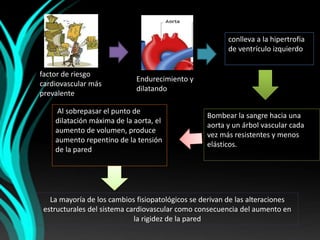 factor de riesgo 
cardiovascular más 
prevalente 
Endurecimiento y 
dilatando 
Al sobrepasar el punto de 
dilatación máxima de la aorta, el 
aumento de volumen, produce 
aumento repentino de la tensión 
de la pared 
conlleva a la hipertrofia 
de ventrículo izquierdo 
Bombear la sangre hacia una 
aorta y un árbol vascular cada 
vez más resistentes y menos 
elásticos. 
La mayoría de los cambios fisiopatológicos se derivan de las alteraciones 
estructurales del sistema cardiovascular como consecuencia del aumento en 
la rigidez de la pared 
 