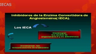 IECAS
 