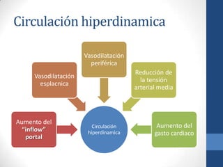 Circulación hiperdinamica

                      Vasodilatación
                        periférica
                                       Reducción de
     Vasodilatación
                                         la tensión
       esplacnica
                                       arterial media




Aumento del
                         Circulación           Aumento del
  “inflow”             hiperdinamica          gasto cardiaco
   portal
 