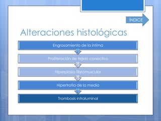 ÍNDICE


Alteraciones histológicas
        Engrosamiento de la íntima


      Proliferación de tejido conectivo


         Hiperplasia fibromuscular


          Hipertrofia de la media


           Trombosis intraluminal
 