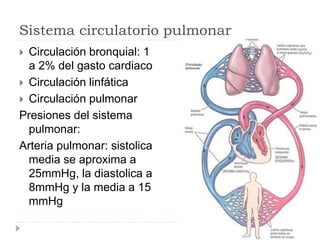  Circulación bronquial: 1
a 2% del gasto cardiaco
 Circulación linfática
 Circulación pulmonar
Presiones del sistema
pulmonar:
Arteria pulmonar: sistolica
media se aproxima a
25mmHg, la diastolica a
8mmHg y la media a 15
mmHg
Sistema circulatorio pulmonar
 