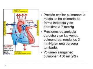  Presión capilar pulmonar: la
media se ha esimado de
forma indirecta y se
aproxima a 7 mmHg
 Presiones de auricula
derecha y en las venas
pulmonares: ronda los 2
mmHg en una persona
tumbada.
 Volumen sanguineo
pulmonar: 450 ml (9%)
 