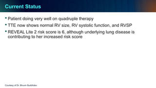 Comprehensive Screening and Diagnosis of Pulmonary Arterial ...