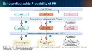 Comprehensive Screening and Diagnosis of Pulmonary Arterial ...