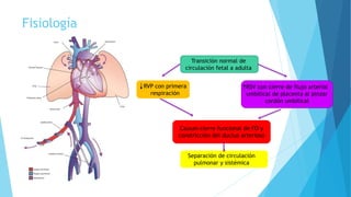 Fisiología
Transición normal de
circulación fetal a adulta
RVP con primera
respiración
RSV con cierre de flujo arterial
umbilical de placenta al pinzar
cordón umbilical
Causan cierre funcional de FO y
constricción del ductus arterioso
Separación de circulación
pulmonar y sistémica
 