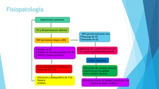 Fisiopatología
Hipertensión pulmonar
FO y DA permanecen abiertos
RVP permanece mayor a RVS
Presión en AD
Presión de llenado diastólico de VD
Retorno venoso pulmonar
Shunt de derecha a izquierda a
través de FO Y CA
Alteración y desequilibrio de V/Q
Hipoxia
Acidosis
RVP persistentemente alta
Poscarga de VD
Demanda de O2
Aporte de O2 a pared posterior de
VI y región subendocárdica de VD
Lesión isquémica
-Dilatación del corazón derecho
-Insuficiencia tricuspidea
-Falla cardiaca derecha
Alteración severa de llenado ventricular izq.
Severa de gasto cardiaco
 