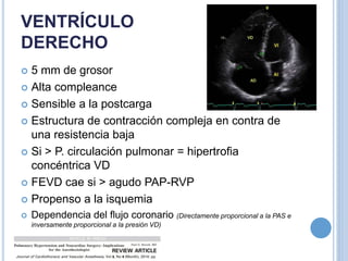 VENTRÍCULO
DERECHO
 5 mm de grosor
 Alta compleance
 Sensible a la postcarga
 Estructura de contracción compleja en contra de
una resistencia baja
 Si > P. circulación pulmonar = hipertrofia
concéntrica VD
 FEVD cae si > agudo PAP-RVP
 Propenso a la isquemia
 Dependencia del flujo coronario (Directamente proporcional a la PAS e
inversamente proporcional a la presión VD)
 