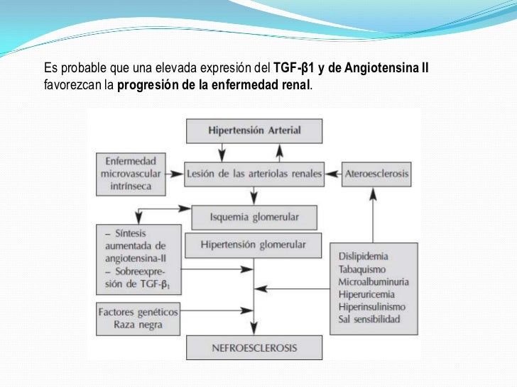 enantyum hipertensión Consejos y Guía