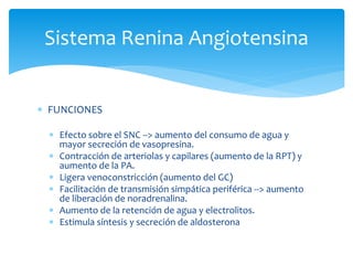  FUNCIONES
 Efecto sobre el SNC --> aumento del consumo de agua y
mayor secreción de vasopresina.
 Contracción de arteriolas y capilares (aumento de la RPT) y
aumento de la PA.
 Ligera venoconstricción (aumento del GC)
 Facilitación de transmisión simpática periférica --> aumento
de liberación de noradrenalina.
 Aumento de la retención de agua y electrolitos.
 Estimula síntesis y secreción de aldosterona
Sistema Renina Angiotensina
 
