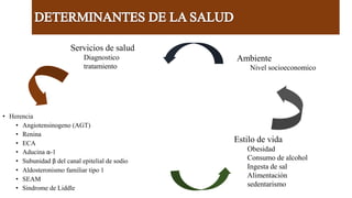 • Herencia
• Angiotensinogeno (AGT)
• Renina
• ECA
• Aducina α-1
• Subunidad β del canal epitelial de sodio
• Aldosteronismo familiar tipo 1
• SEAM
• Sindrome de Liddle
Servicios de salud
Diagnostico
tratamiento
Estilo de vida
Obesidad
Consumo de alcohol
Ingesta de sal
Alimentación
sedentarismo
Ambiente
Nivel socioeconomico
 